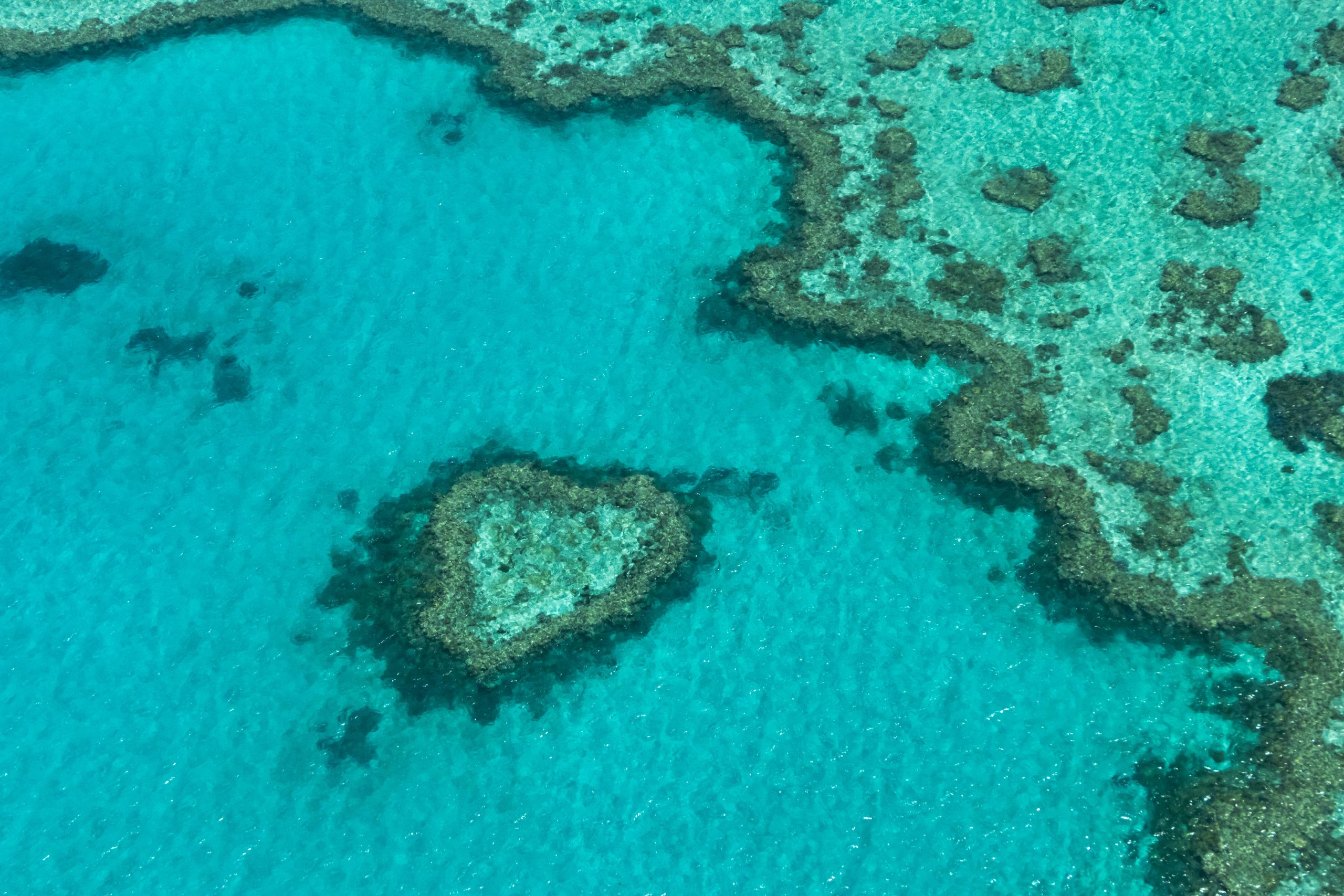 An Aussie craft brewery is giving half its profits to raise awareness about the endangered Great Barrier Reef.