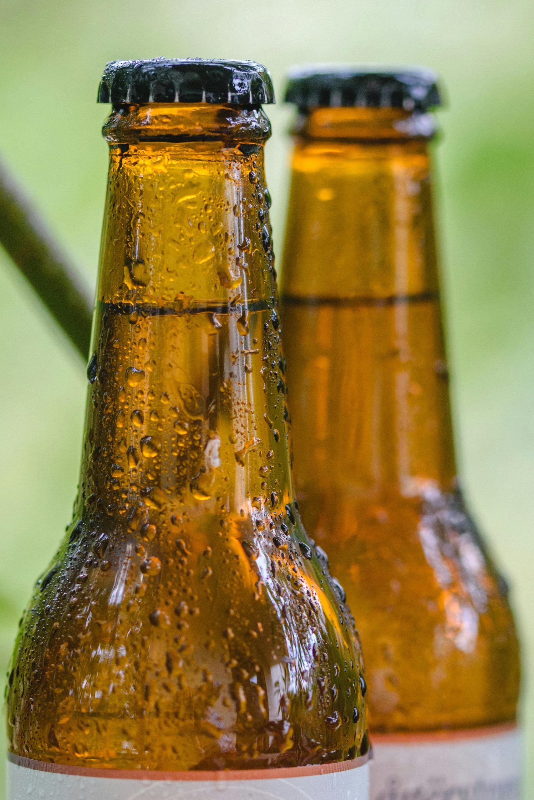 Breaking: Anchor Employees Launch Bid to Rescue Iconic Brewery from Liquidation