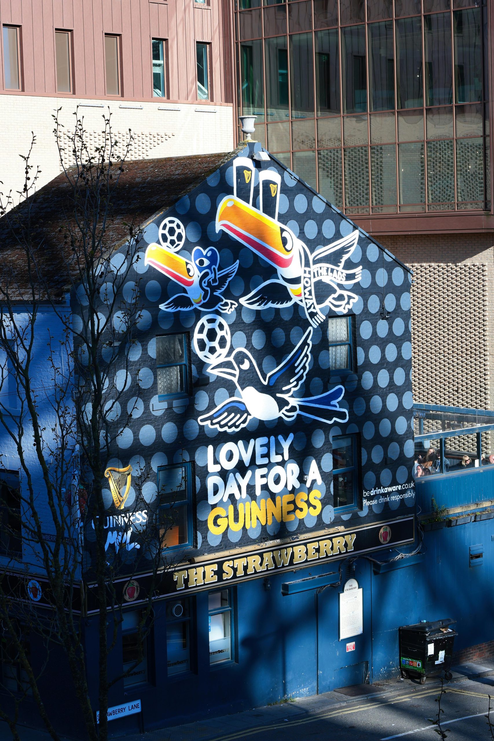 Guinness using leftover beer from closed pubs to fertilise Christmas trees during lockdown