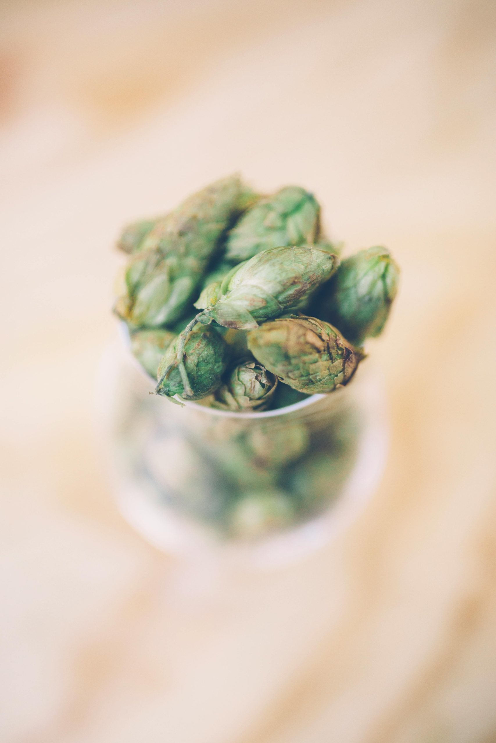 Record U.S. Hop Harvest Signals a Coming World IPA Bounty