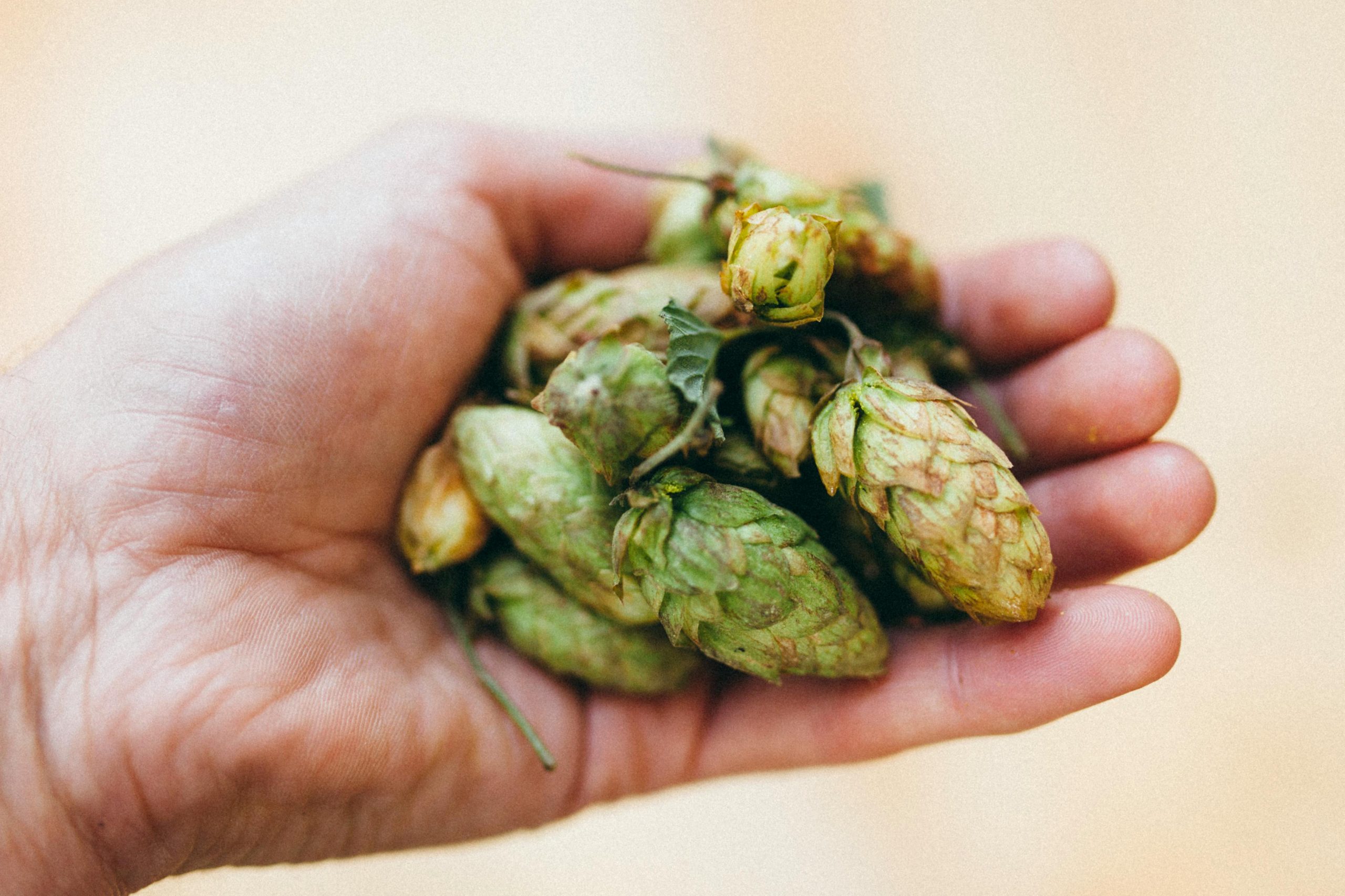 Stone Brewing just released their (soon to be decommissioned) Pale Ale recipe to the public