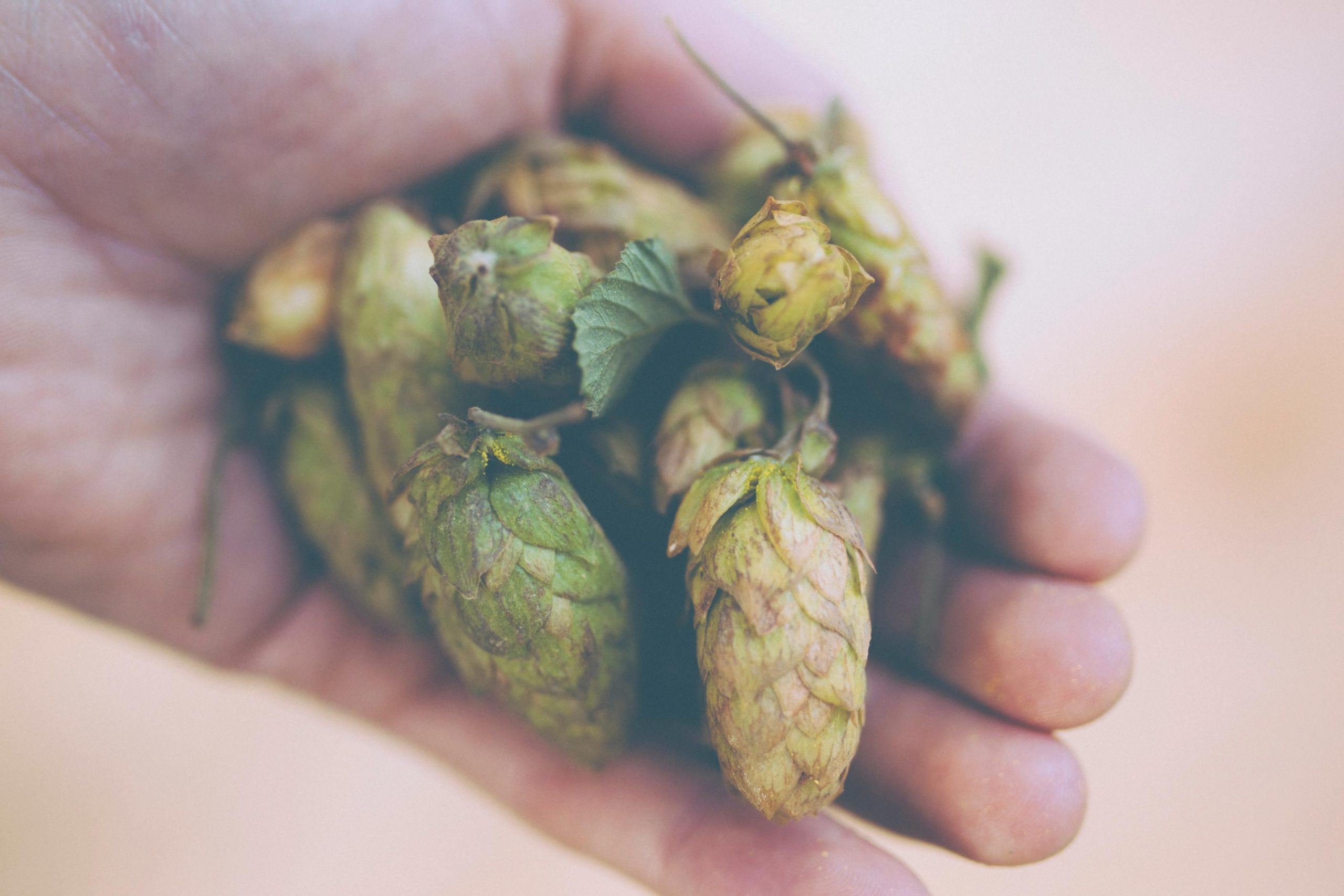 My fake brewery… (Update)