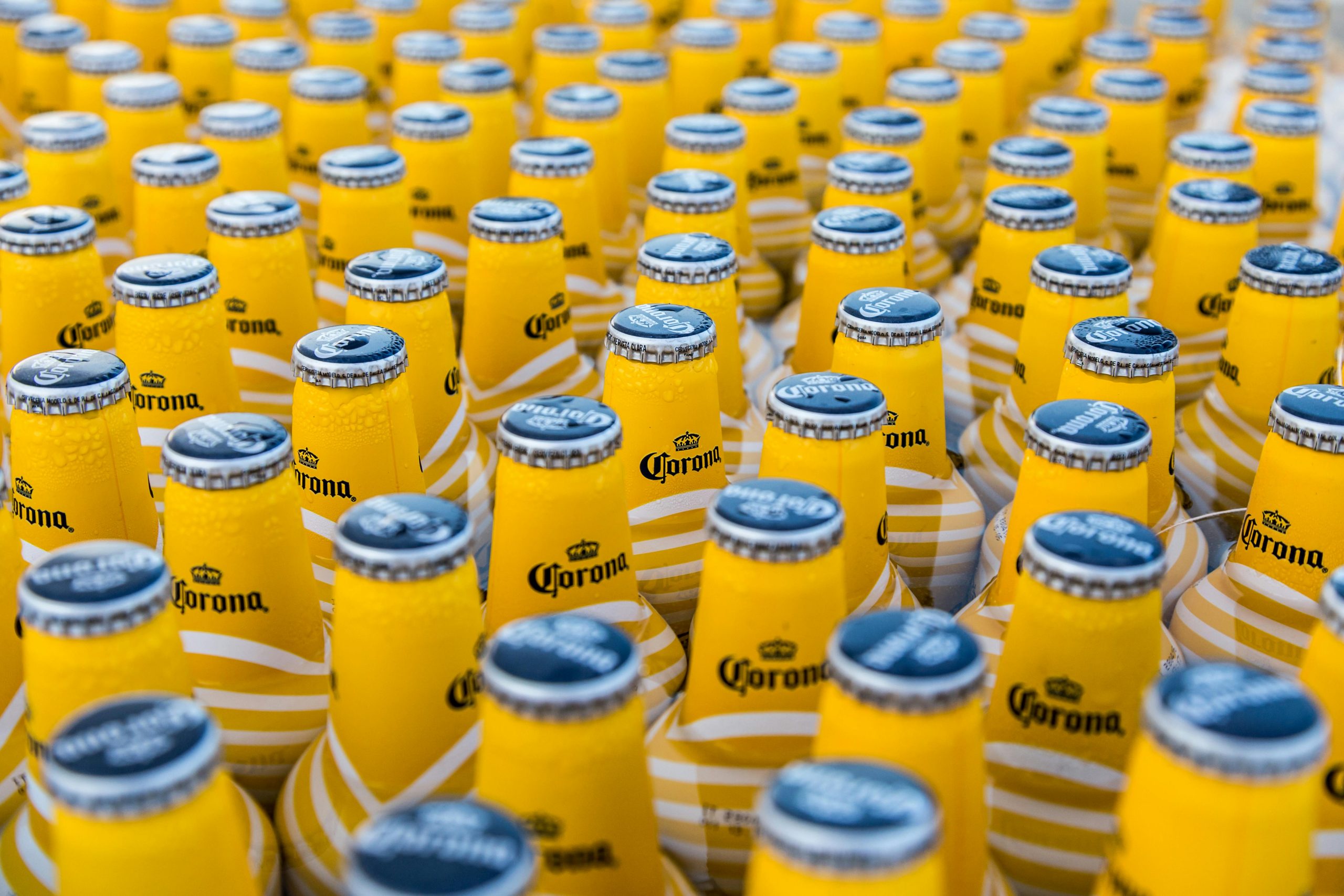 The Cult of Sierra Nevada Pale Ale, Your Favorite Brewer’s Favorite Beer