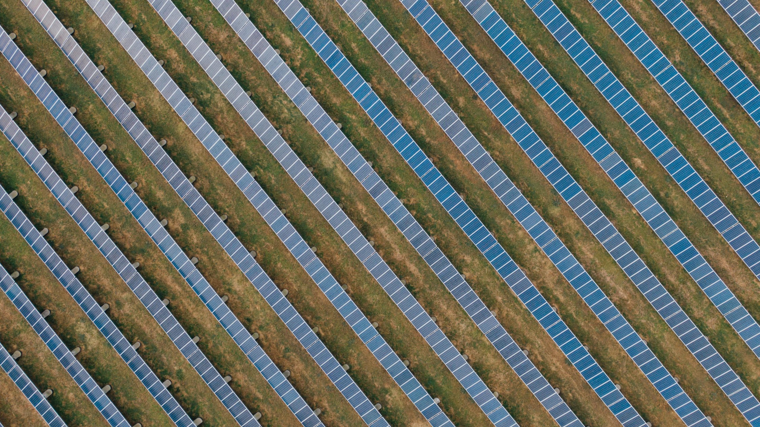 Anheuser-Busch InBev will source 100 percent of its electricity from renewable sources by 2025